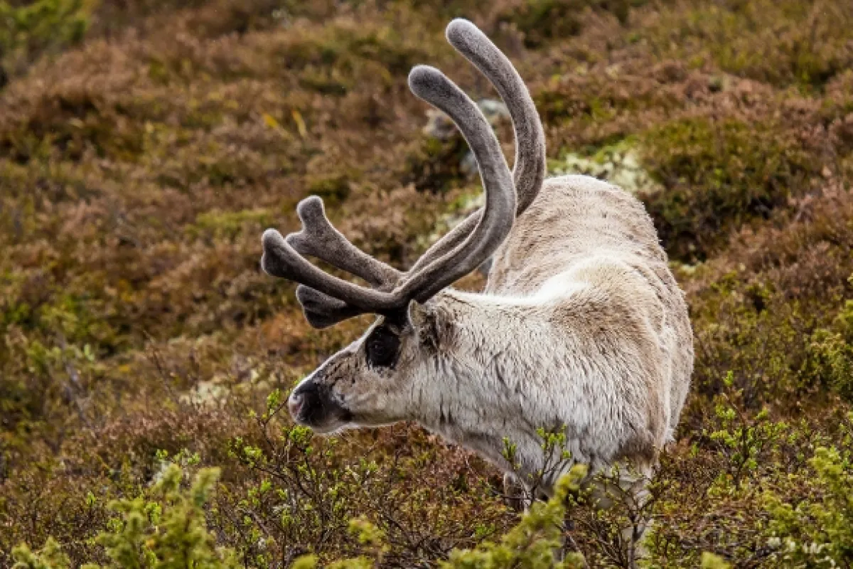 Norsko: Mezi fjordy a fjelly - fotogaléria