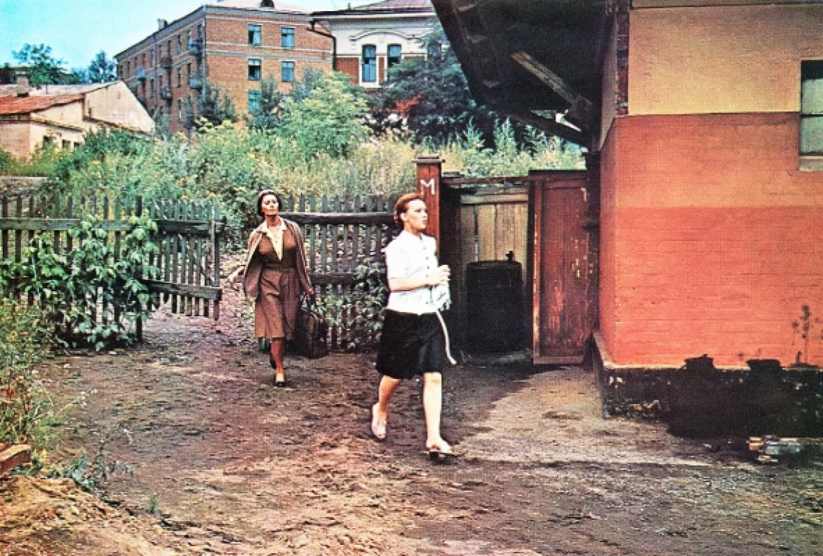Slnečnice (I girasoli), 1970 - fotogaléria