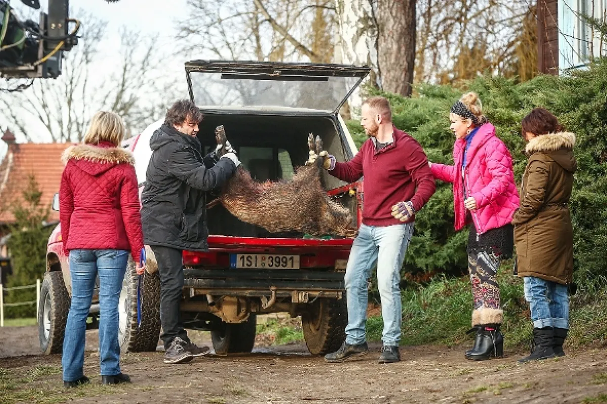 Přístav, 2015 - fotogaléria