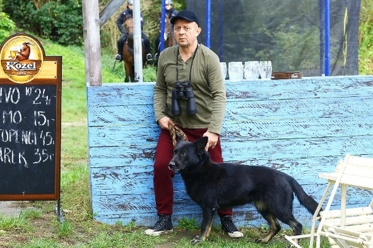 Přístav, 2017 - fotogaléria