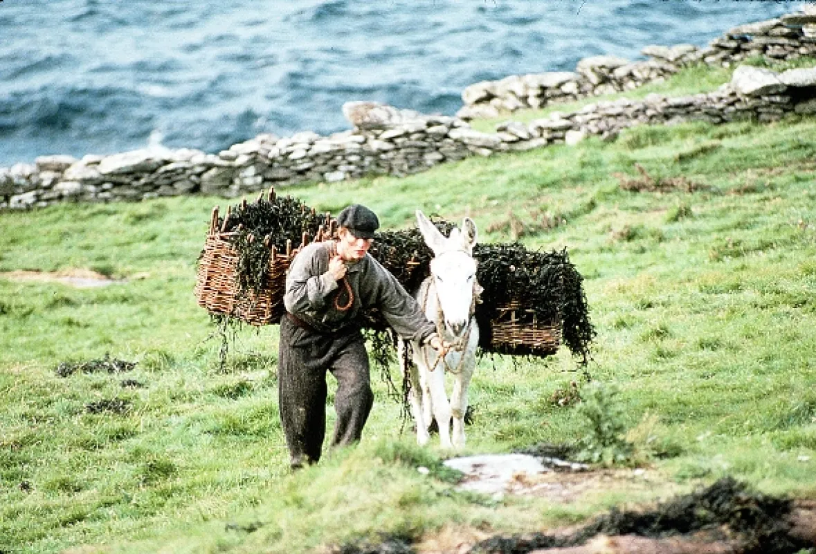 Navždy a daleko (Far and Away), 1992 - fotogaléria