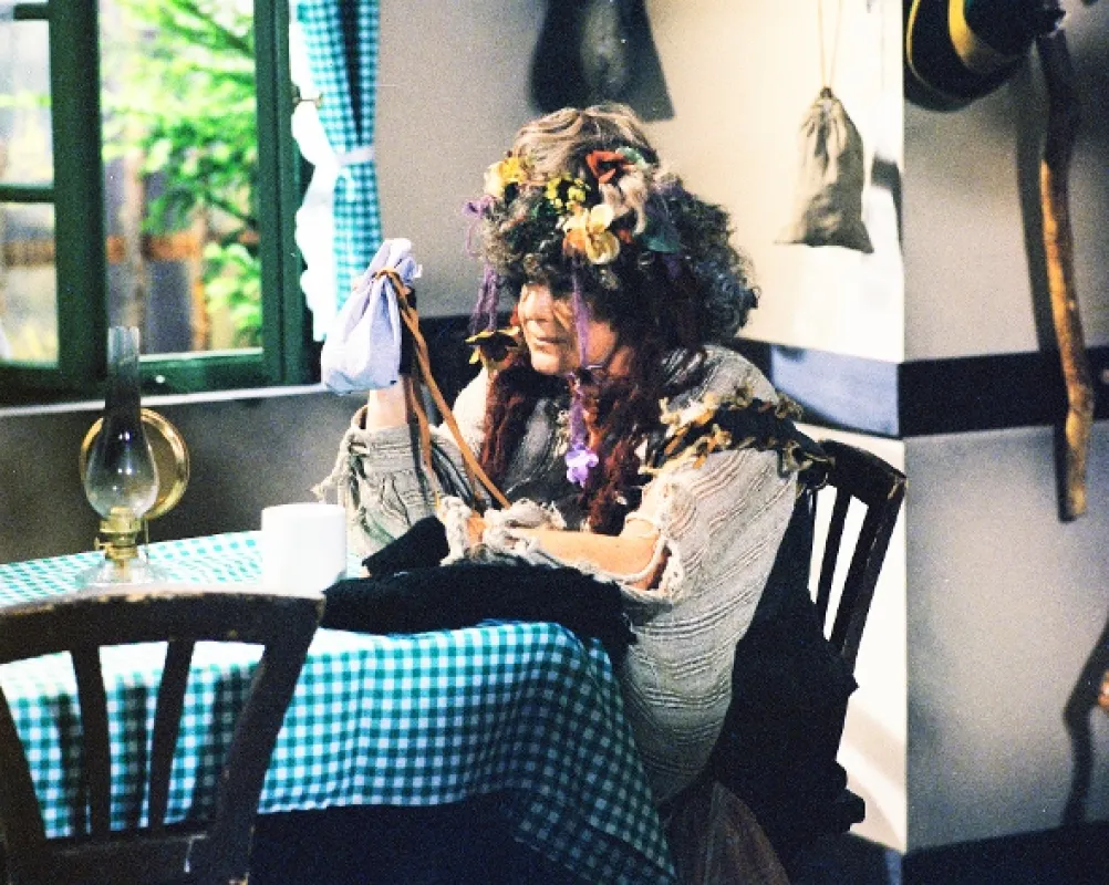 Slunečnice, 1985 - fotogaléria