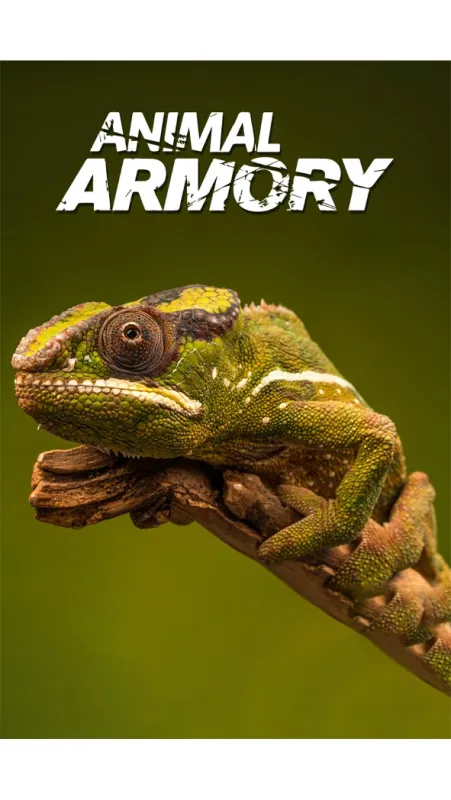 Zvieracia výzbroj (Animal Armory), 2016 - fotogaléria