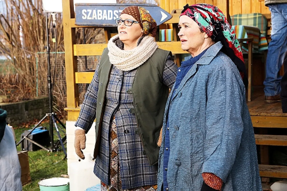 Přístav, 2015 - fotogaléria