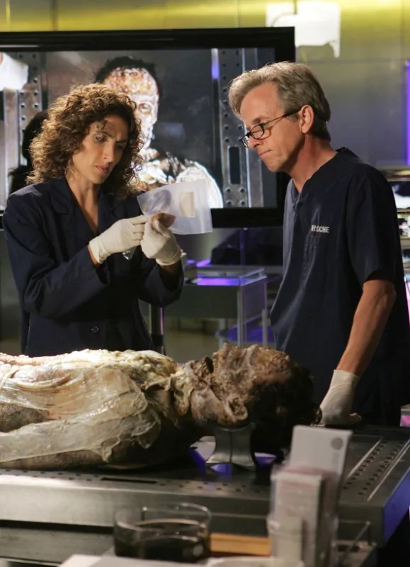 Kriminálka New York (CSI: NY 4), 2007 - fotogaléria