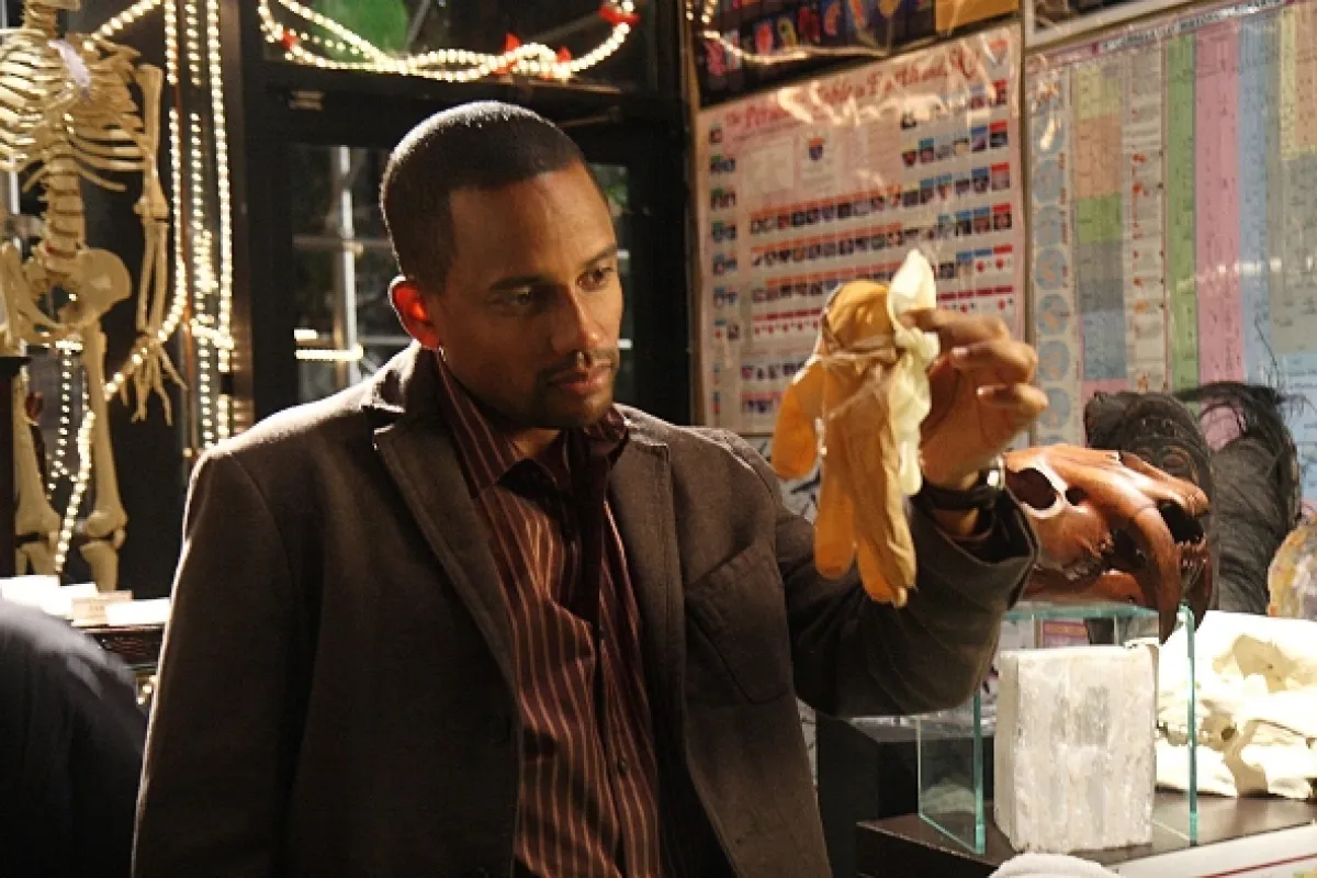 Kriminálka New York (CSI: NY 3), 2006 - fotogaléria