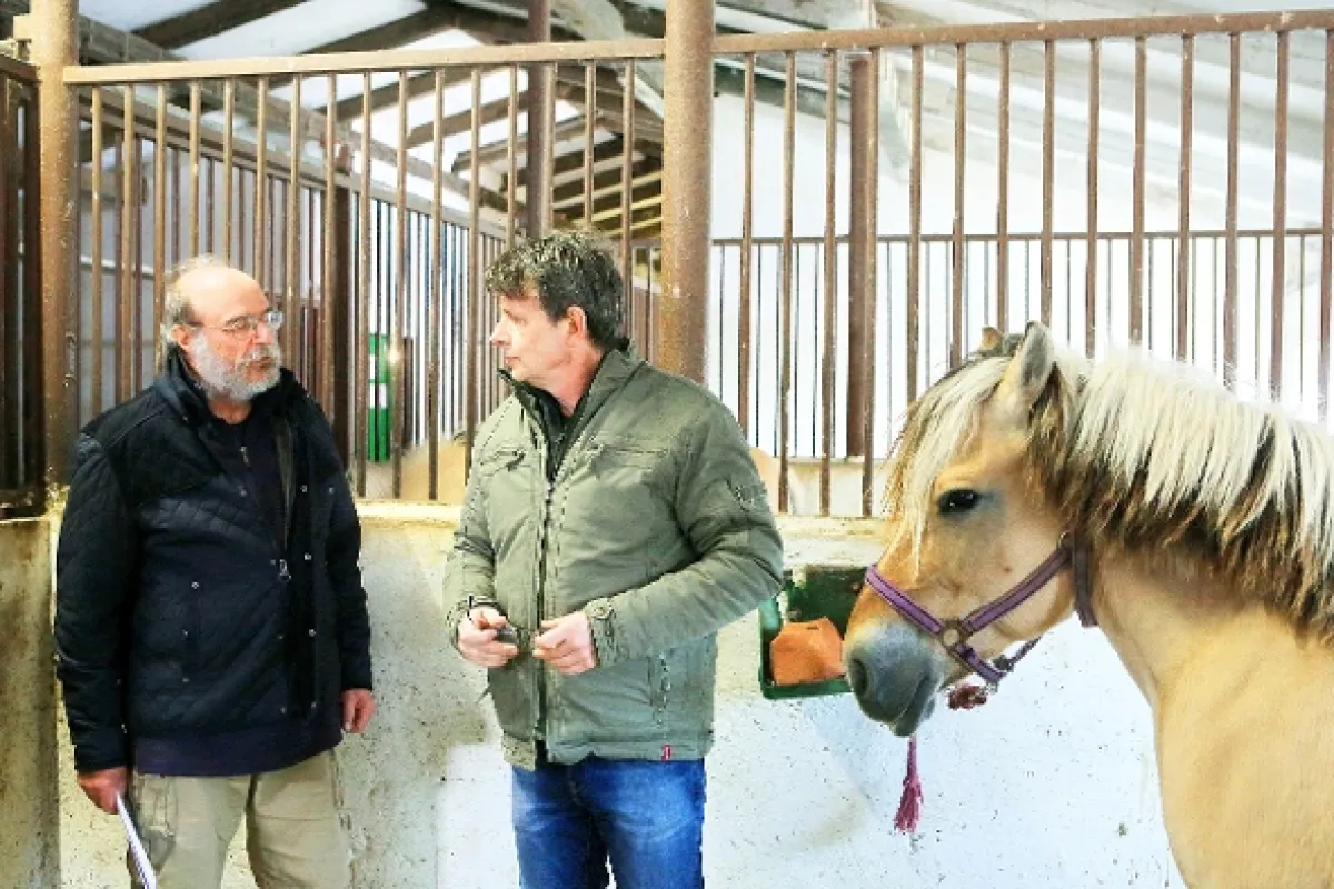 Krejzovi, 2019 - fotogaléria