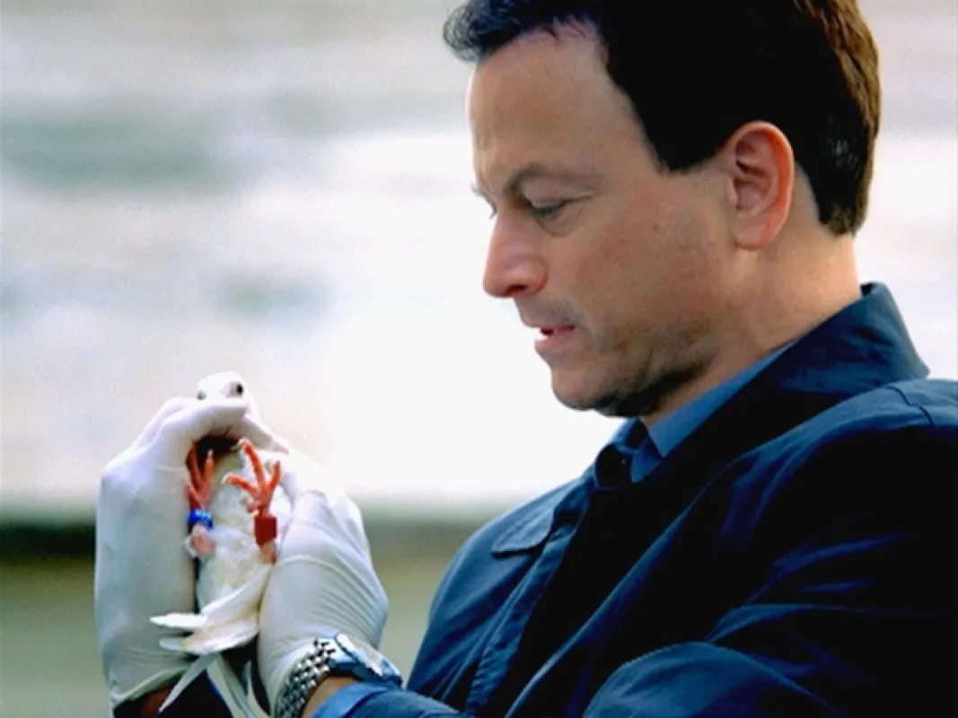 Kriminálka New York (CSI: NY 3), 2006 - fotogaléria