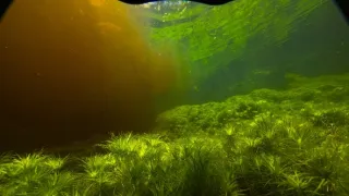 Zázračná planeta: Velké řeky světa