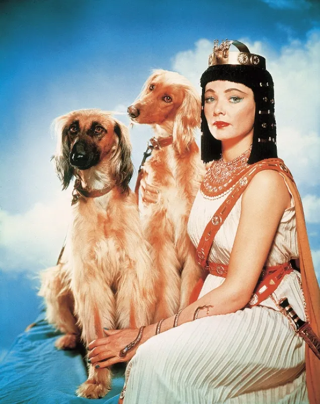 Egypťan Sinuhet (The Egyptian), 1954 - fotogaléria