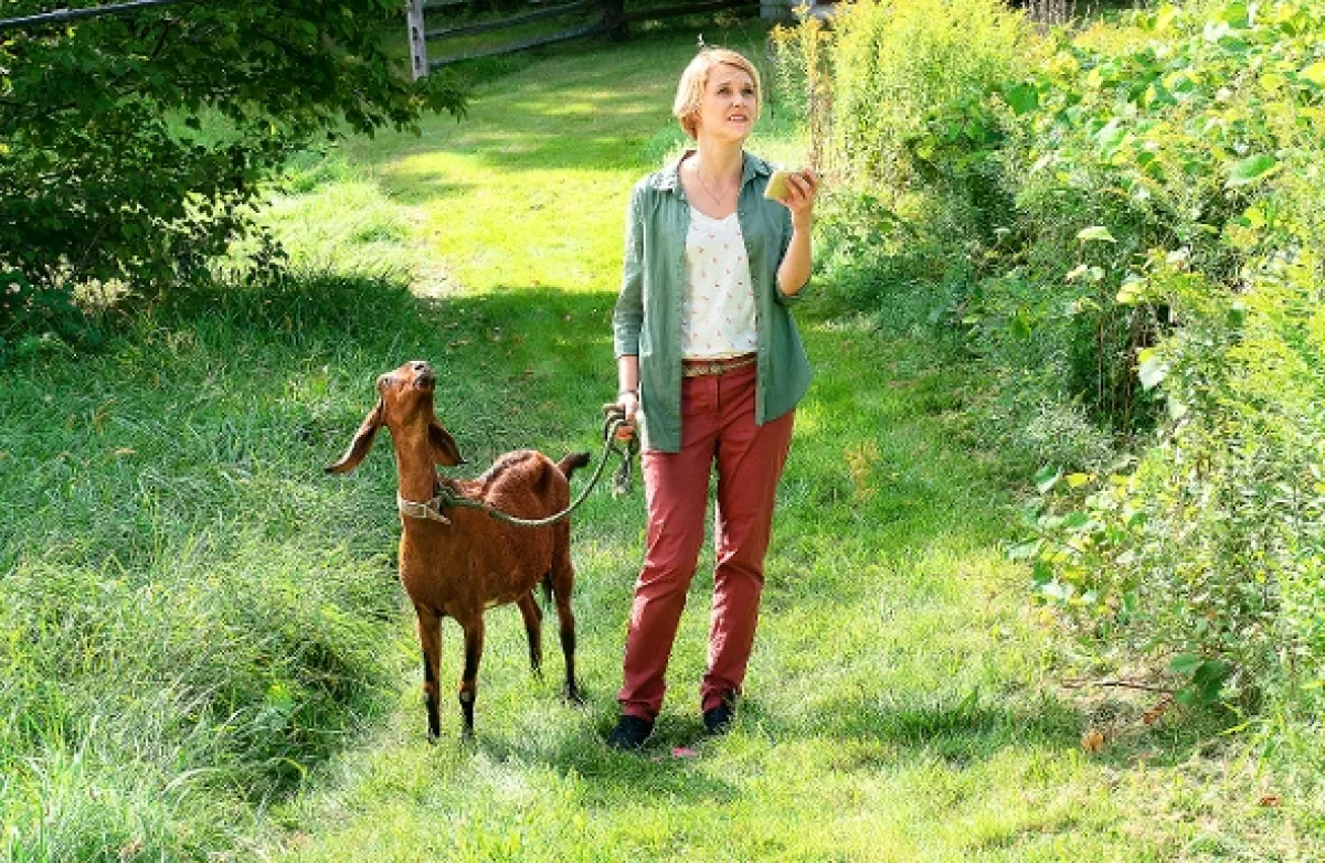 Katie Fforde: Prebudenie bozkom (Katie Fforde: Wachgeküsst), 2019 - fotogaléria