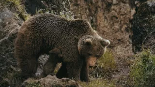 Vztahy a pouta v přírodě