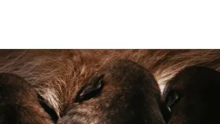 Vztahy a pouta v přírodě