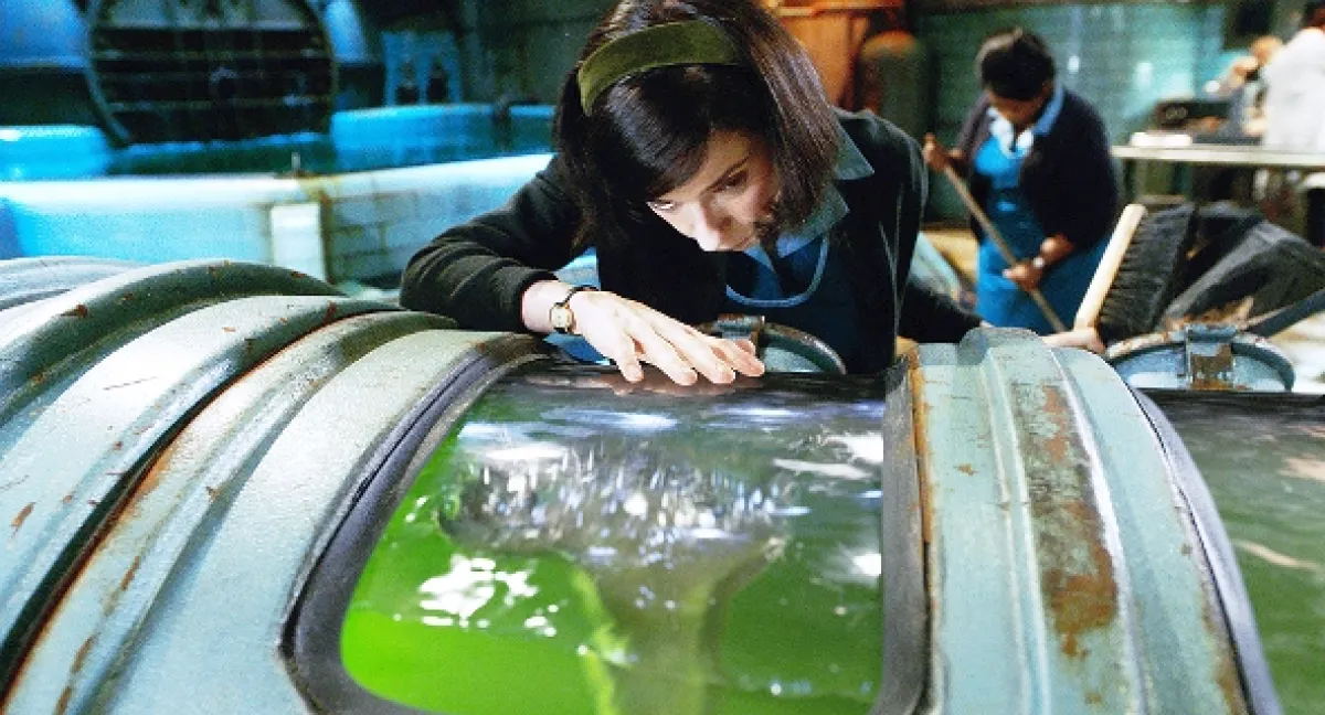Tvář vody (The Shape of Water), 2017 - fotogaléria