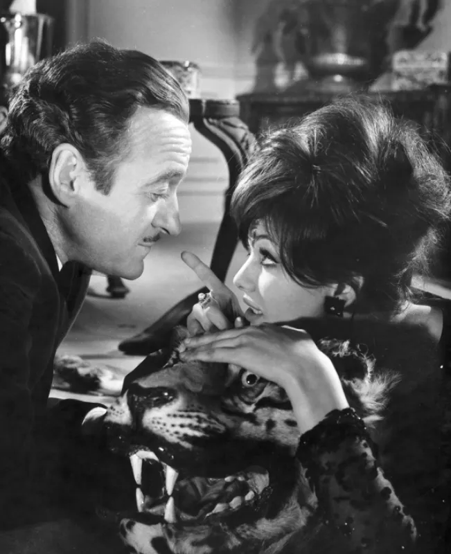 Růžový panter (The Pink Panther), 1963 - fotogaléria