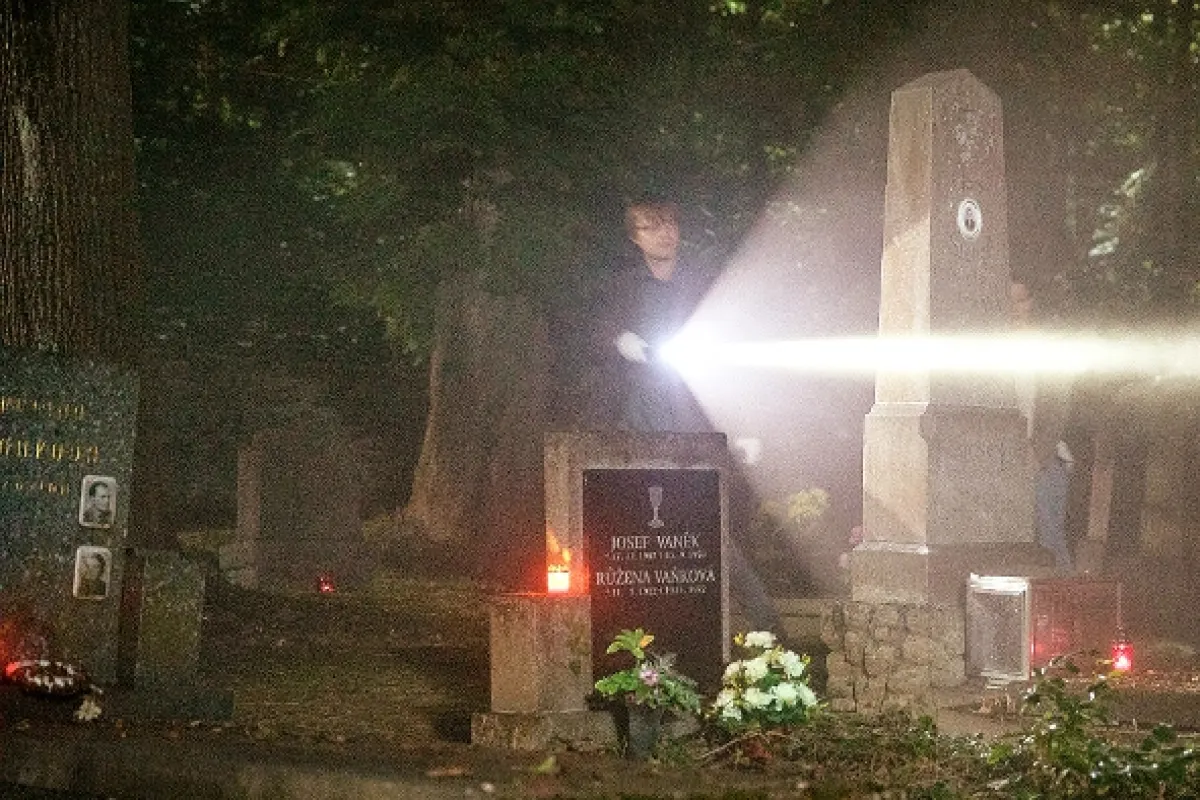 Besnota, 2018 - fotogaléria