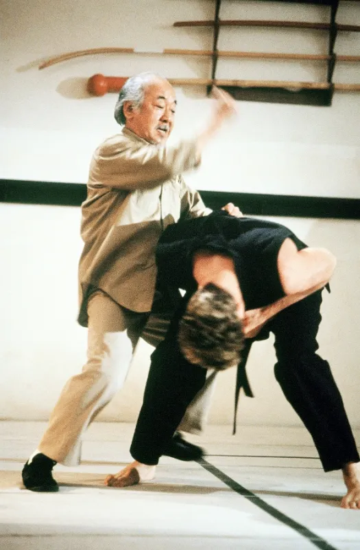 Karate Kid 3 (Karate Kid Iii, The), 1989 - fotogaléria