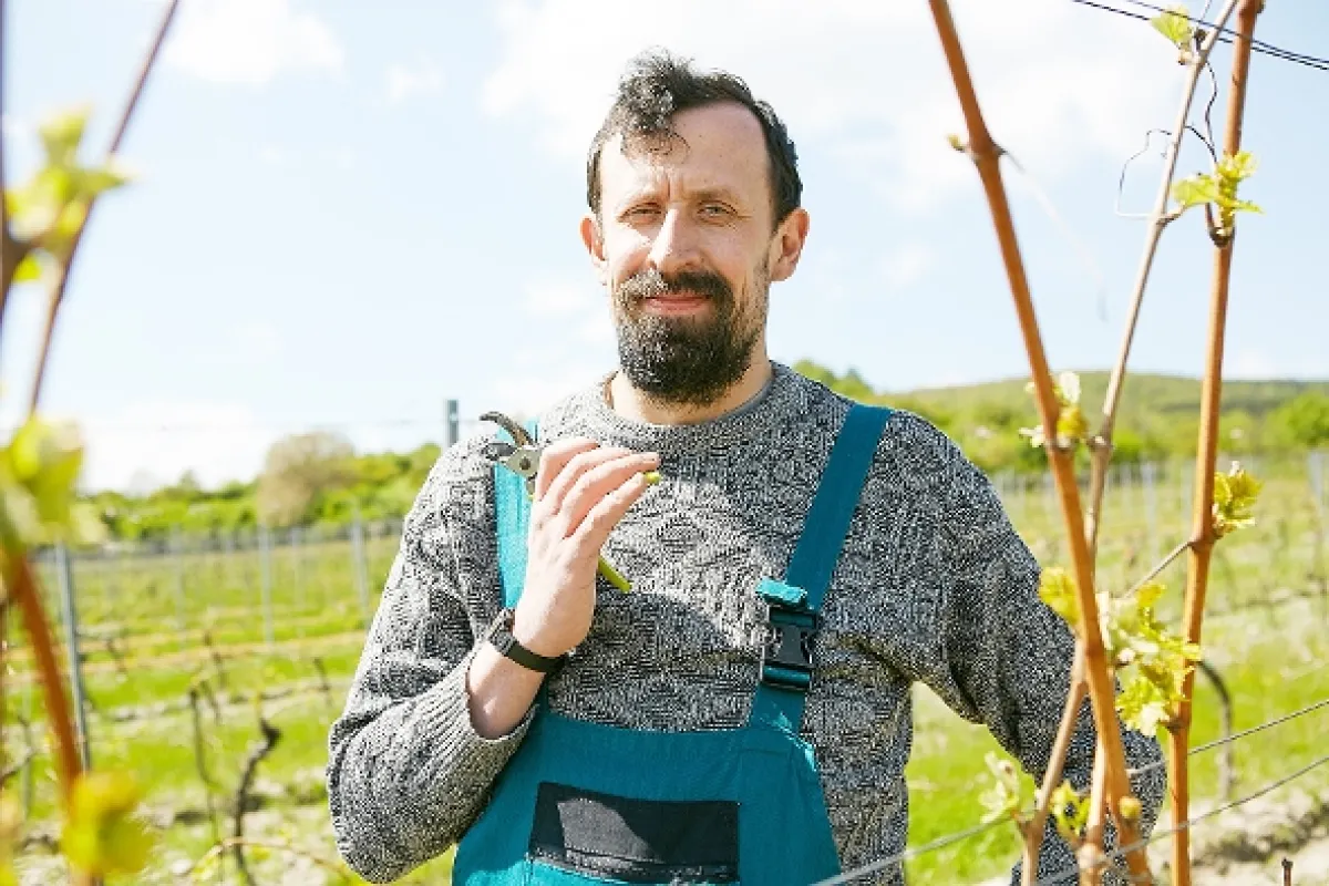 Vinaři, 2015 - fotogaléria