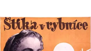 Štika v rybníce