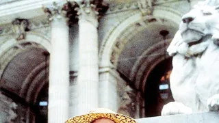 Danielle Steel: Zoja (1/2)