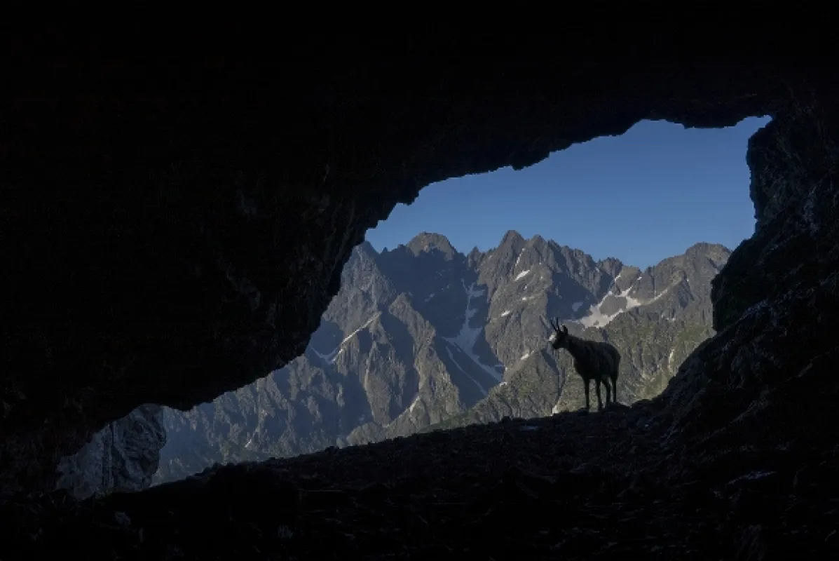 Hohenlohe knieža Tatier, 2021 - fotogaléria