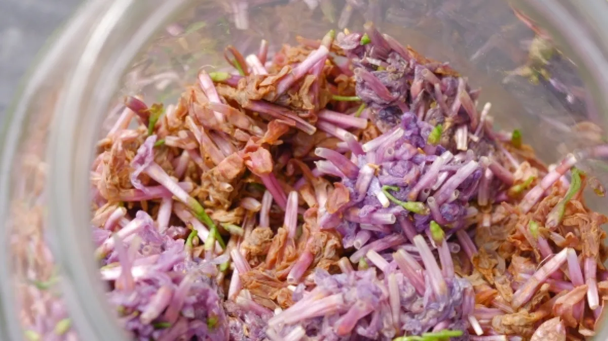 Čo naše staré mamy vedeli a na čo my sme zabudli - fotogaléria