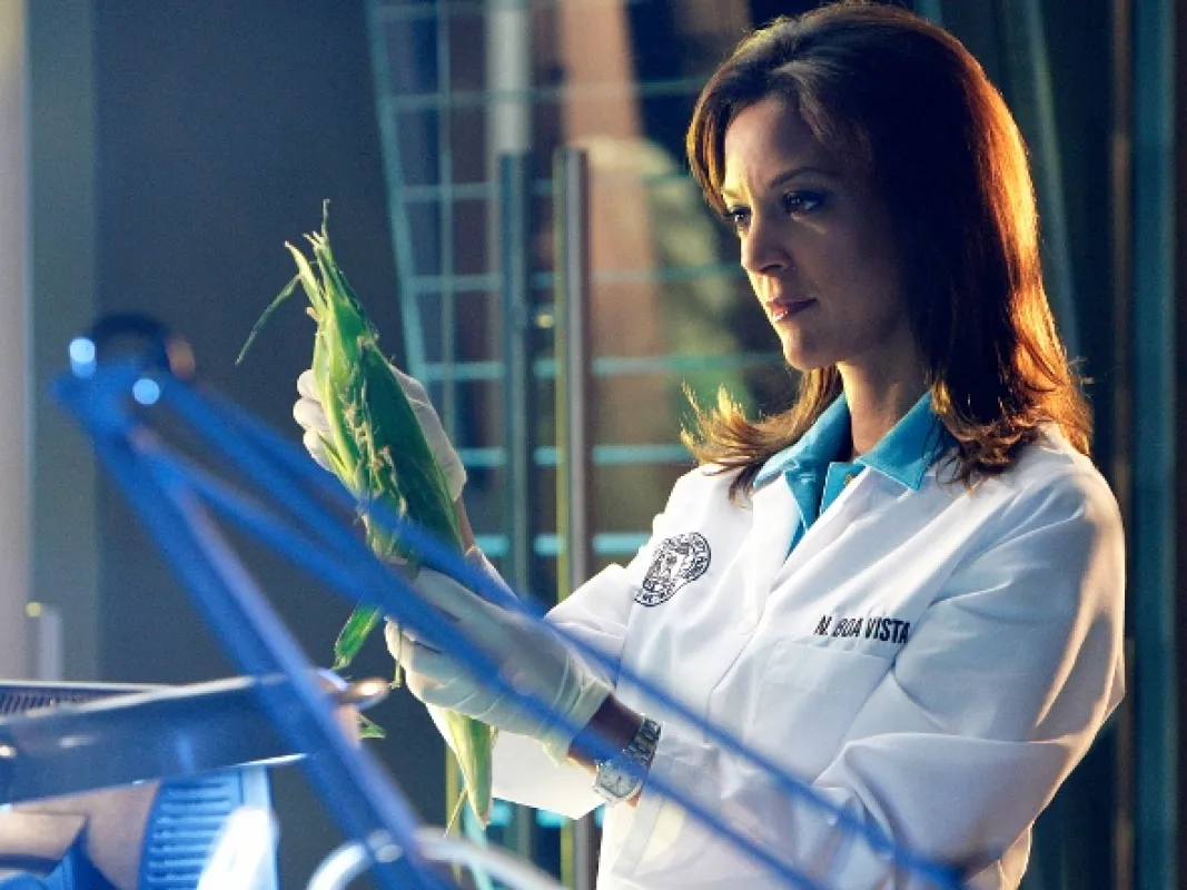 Kriminálka Miami (CSI: Miami VIII), 2009 - fotogaléria