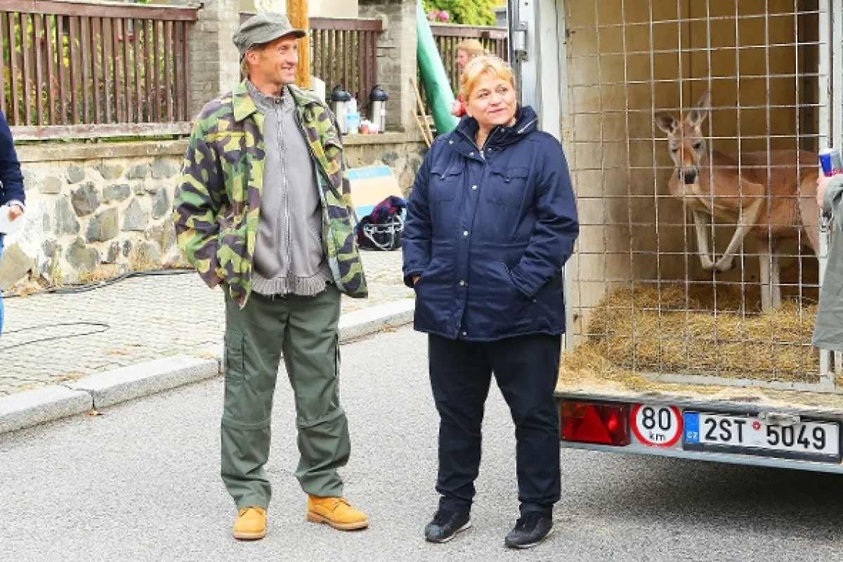 Krejzovi, 2019 - fotogaléria