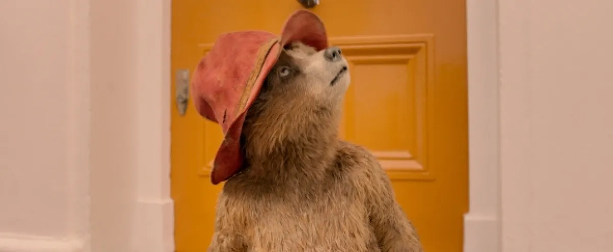 Paddington 2, 2017 - fotogaléria