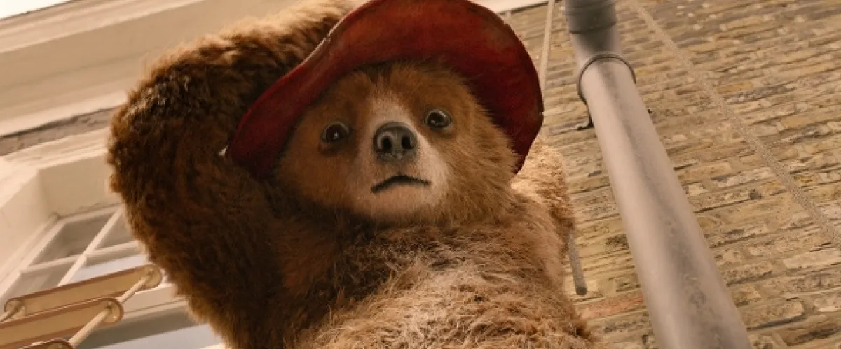 Paddington 2, 2017 - fotogaléria