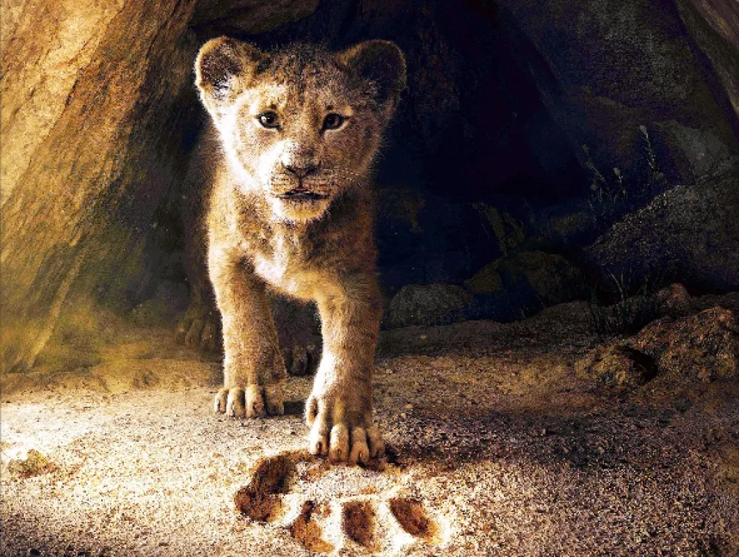 Lví král (The Lion King), 2019 - fotogaléria