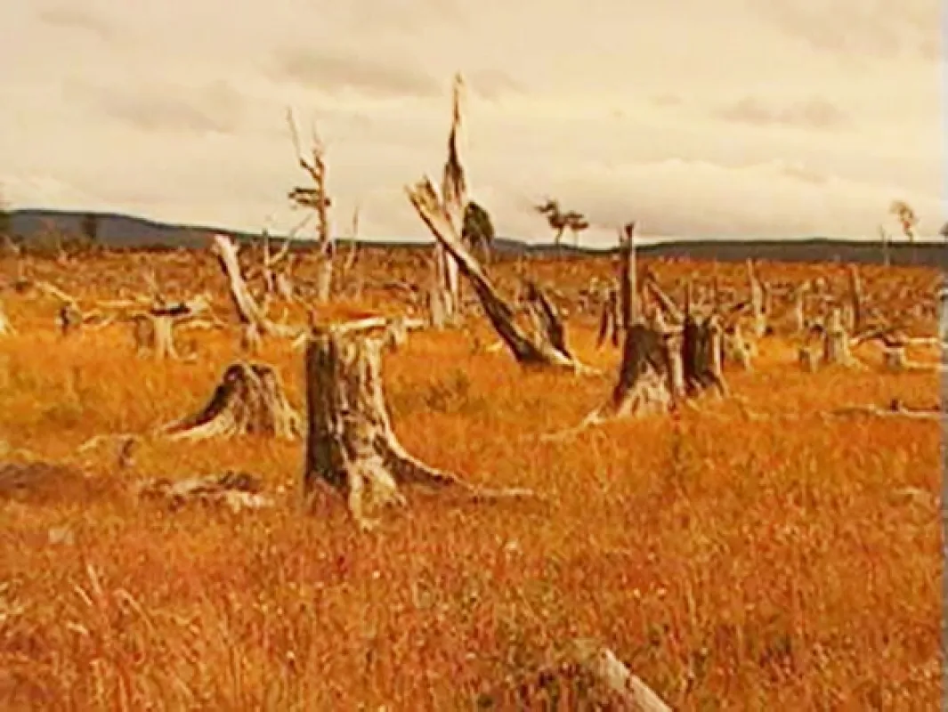 Apokalypsa a konec světa (Apocalypse and the End of the World), 2006 - fotogaléria