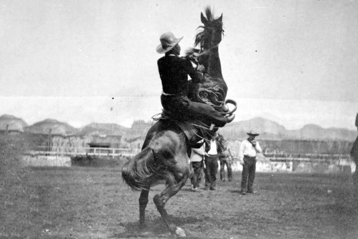 Buffalo Bill a Divoký západ (Bufallo Bill: The Inventor of the Wild West), 2024 - fotogaléria