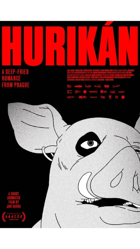 Hurikán, 2024 - fotogaléria