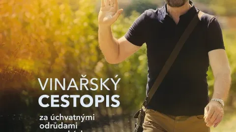 Krajinou vína II
