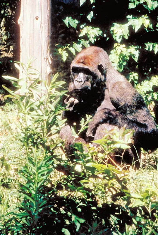 Vráť sa mi (Return to Me), 2000 - fotogaléria