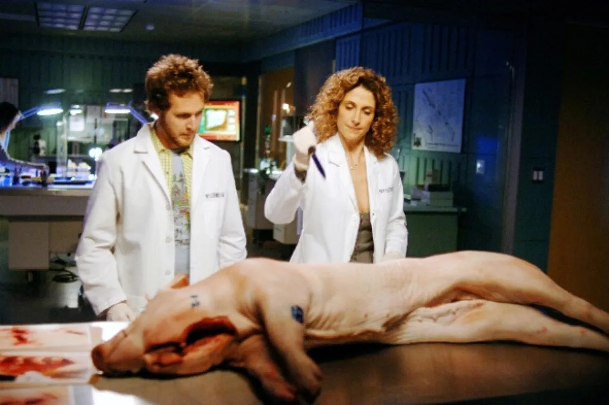 Kriminálka New York (CSI: NY II), 2005 - fotogaléria