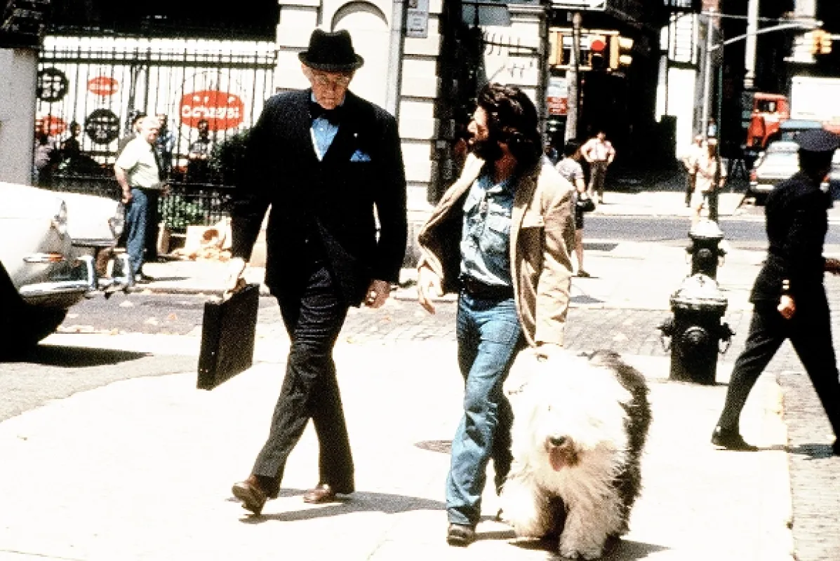 Serpico, 1973 - fotogaléria