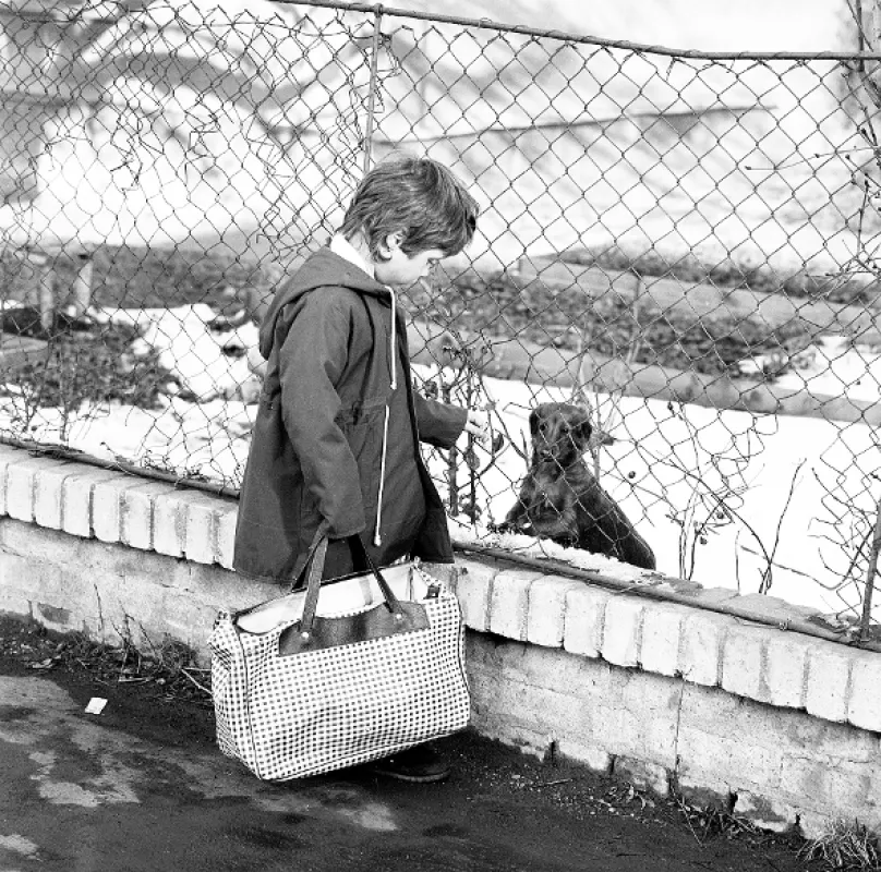 Půl pejska, 1987 - fotogaléria