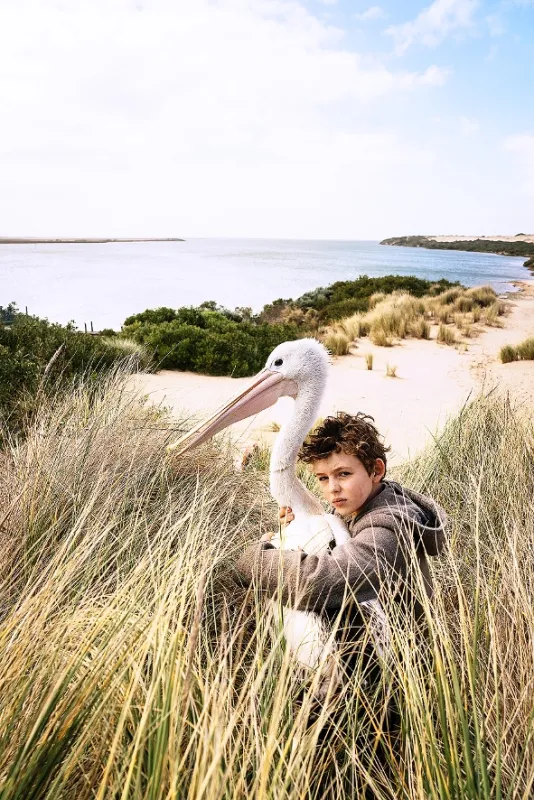 Priatelia navždy (Storm Boy), 2019 - fotogaléria
