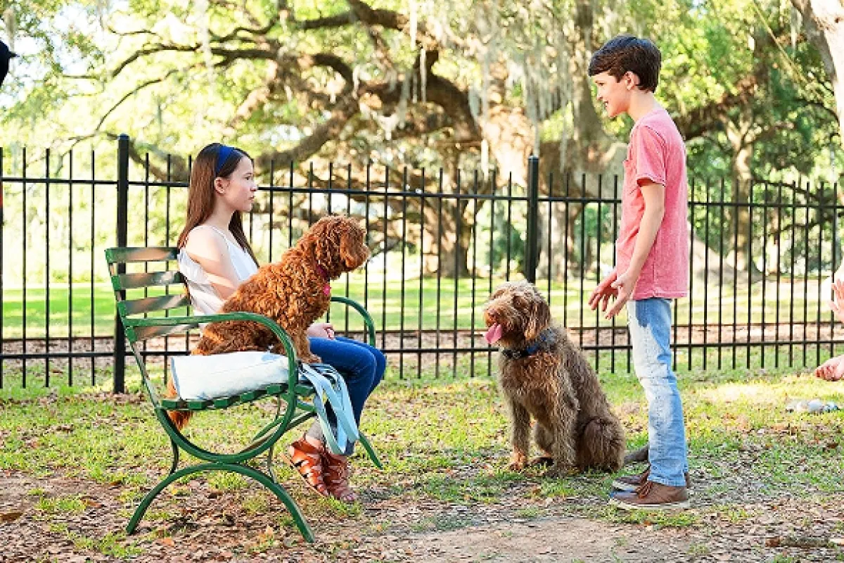 Mysli ako pes (Think Like a Dog), 2020 - fotogaléria