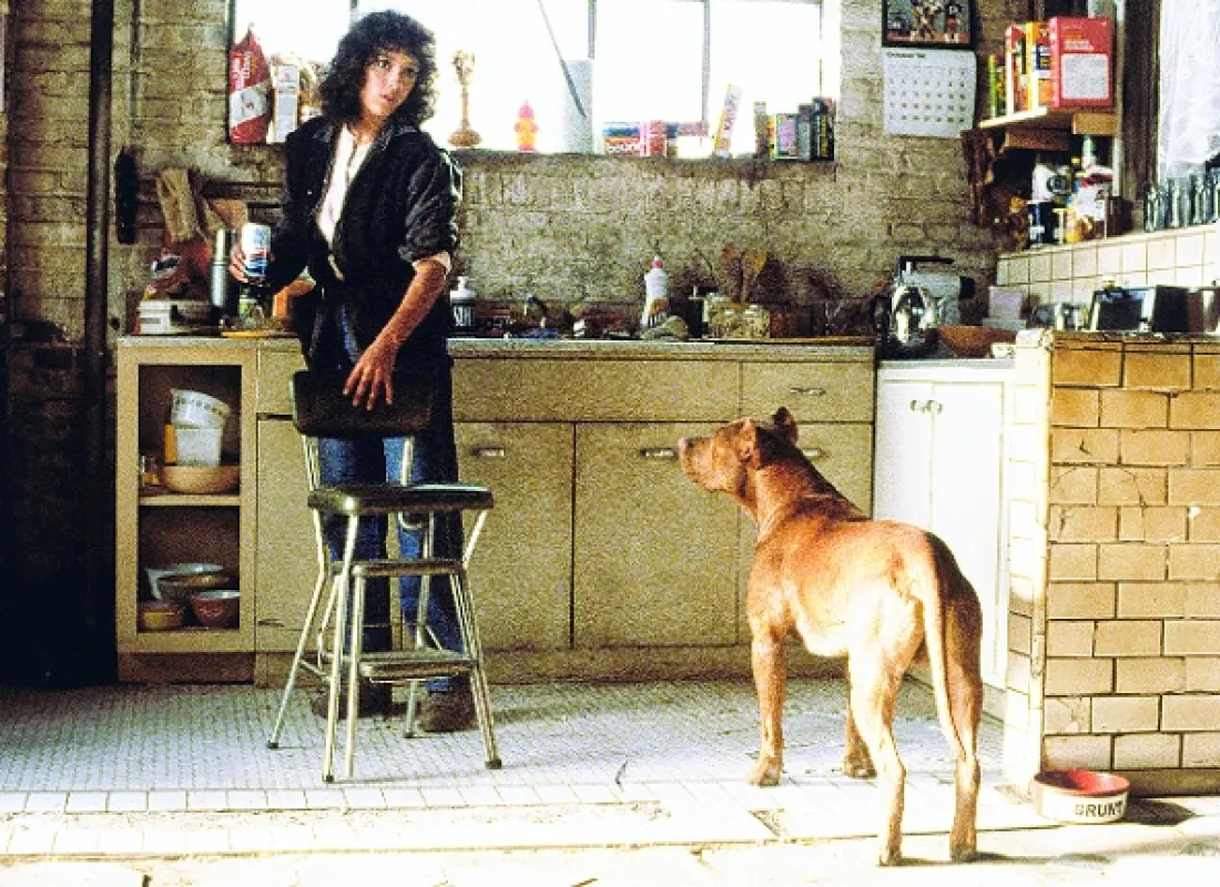 Flashdance, 1983 - fotogaléria