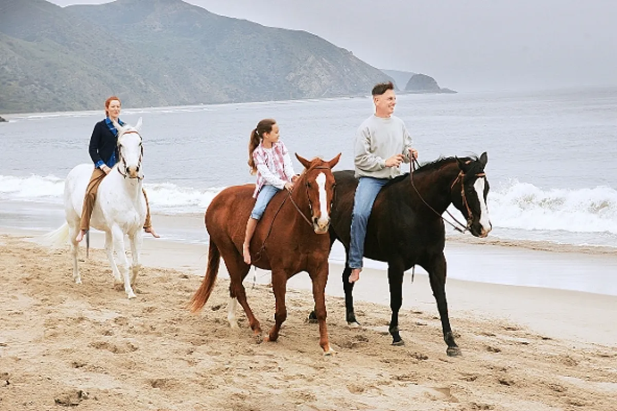 NCIS - Námorný vyšetrovací úrad, 2005 - fotogaléria