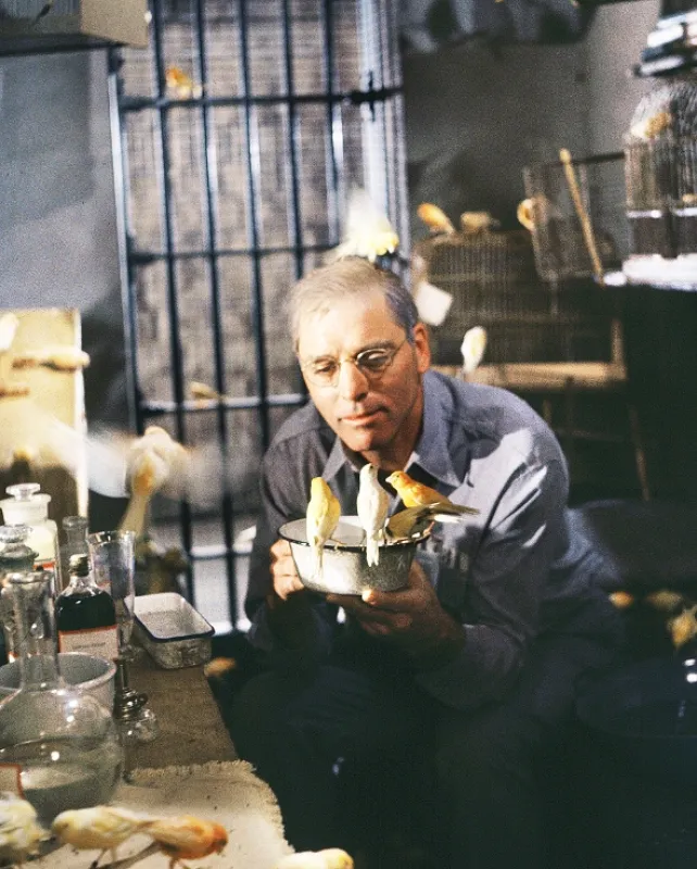 Vtáčnik z Alcatrazu, 1962 - fotogaléria