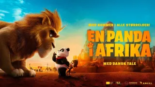 Medvedík panda v Afrike