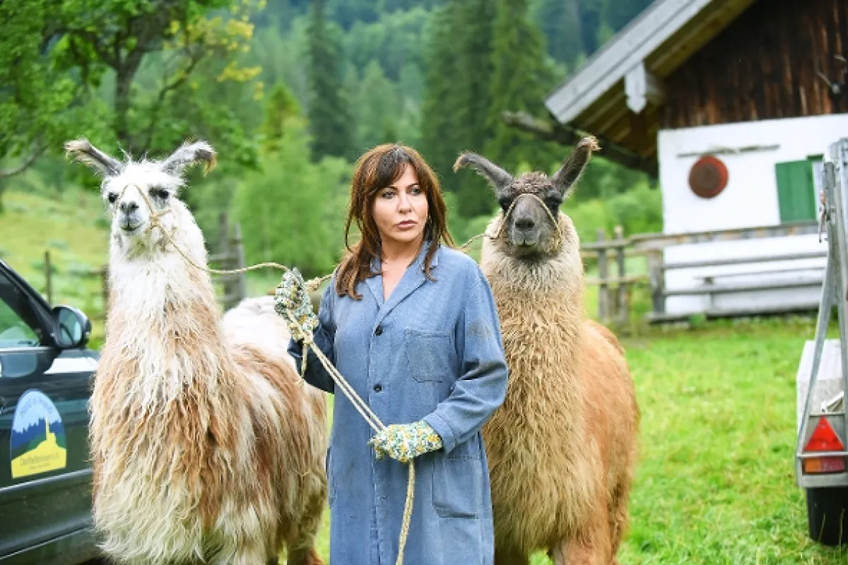 Rozmarné jaro: Zpovědní tajemství (Frühling: Familie auf Probe), 2019 - fotogaléria