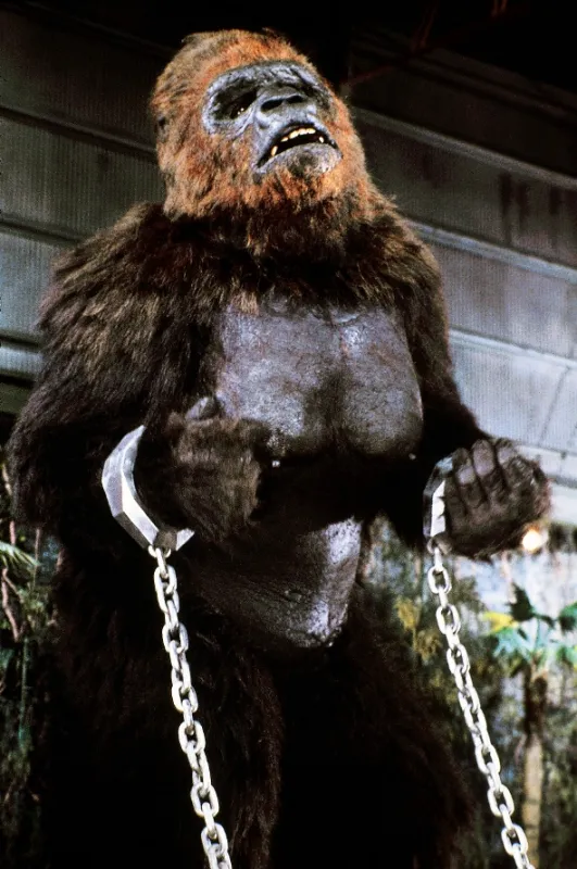 King Kong žije, 1986 - fotogaléria