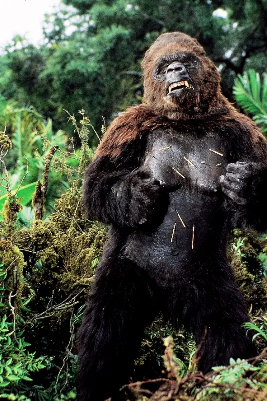 King Kong žije, 1986 - fotogaléria