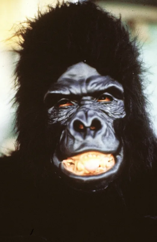 Moudrá krev (Wise Blood), 1979 - fotogaléria