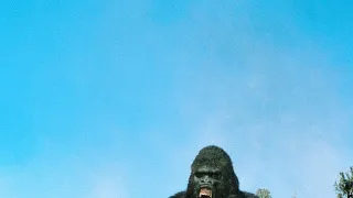 King Kong žije